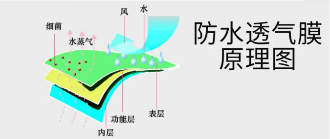 防水透气膜原理图（图片来源：在途环保）