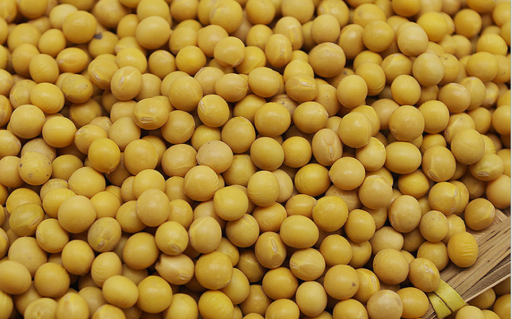 HLM饲料立式磨粉机磨黄豆